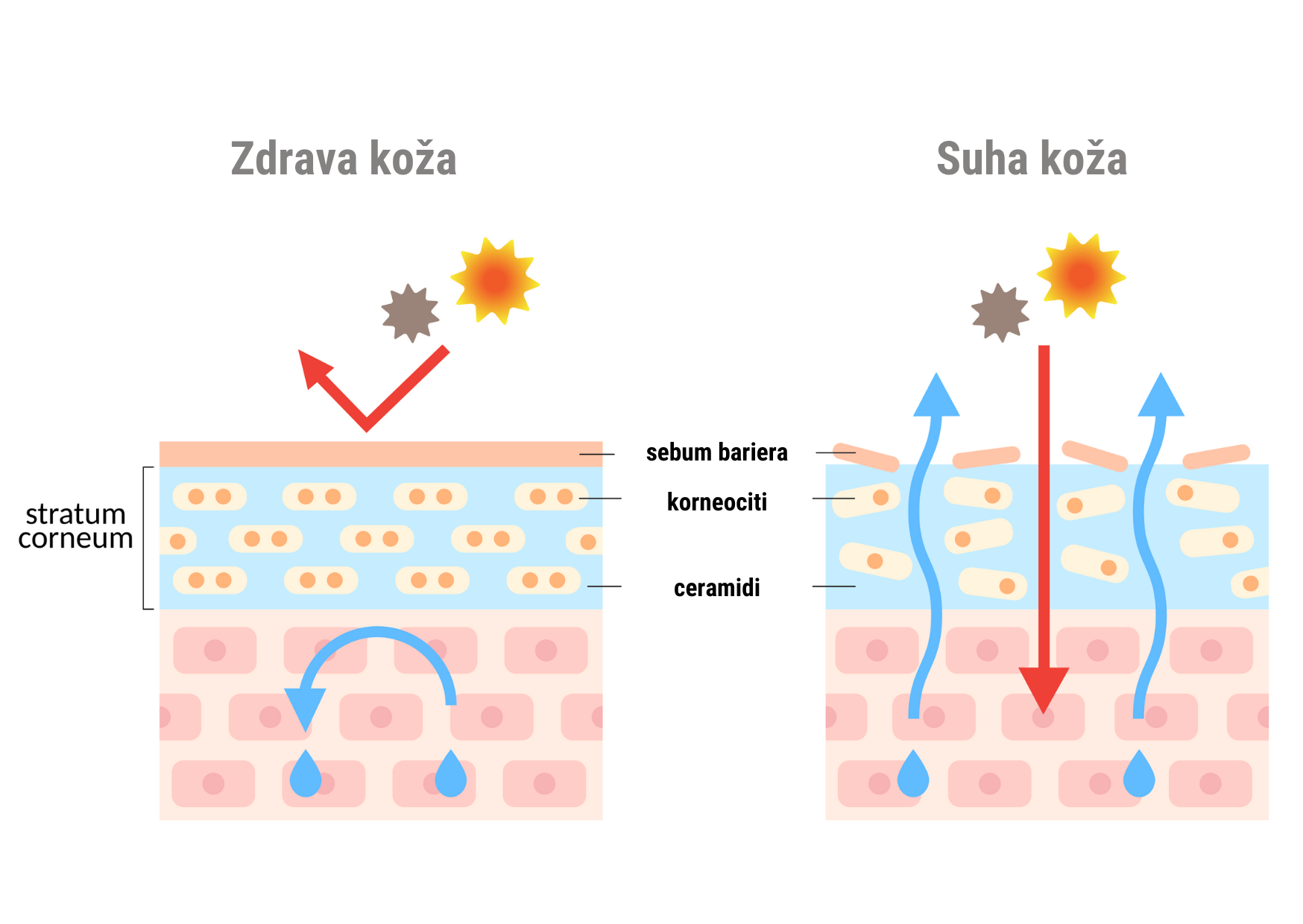 5 Razlogov Zakaj V Vaši Rutini Potrebujete Vitamin C Serum Gaia Naturelle